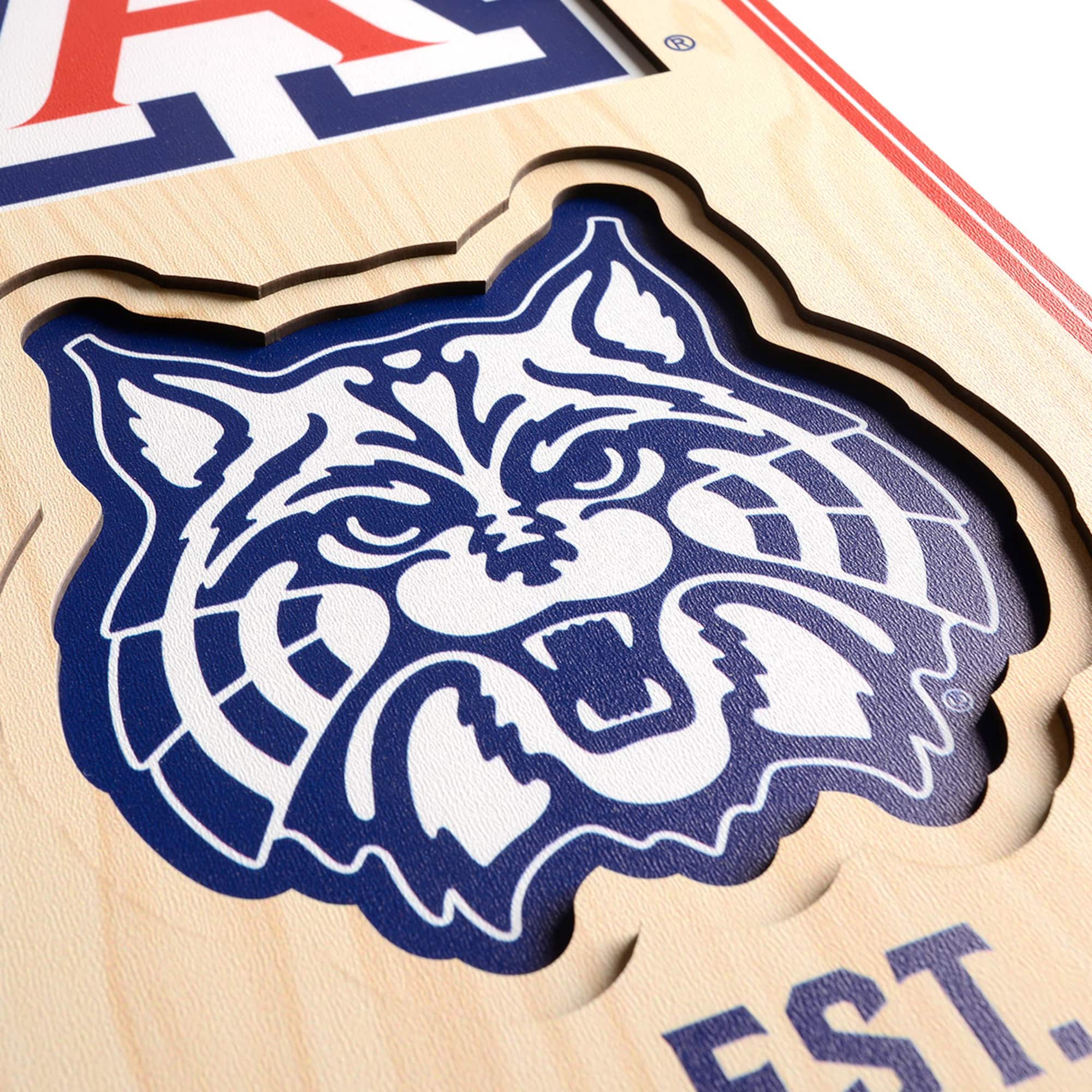 College 3D StadiumView Banner